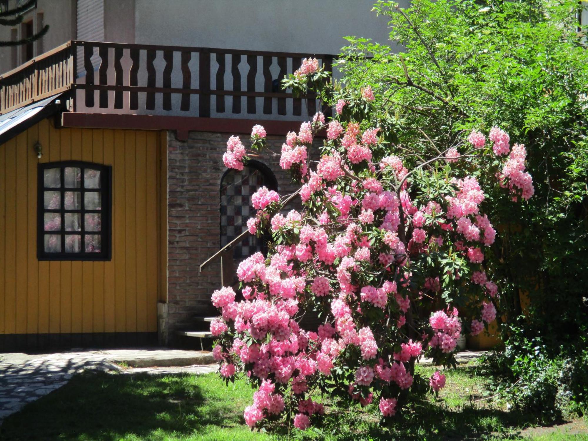Sacromonte San Martín de los Andes